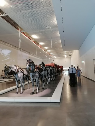 No passado dia  a Associação Coração Amarelo Delegação de Lisboa, participou na primeira sessão de trabalho do Conselho Municipal para a Pessoa Idosa, que terá como principal objetivo estimular a participação efetiva, bem como, a discussão e reflexão em torno dos desafios da Longevidade e do Envelhecimento.