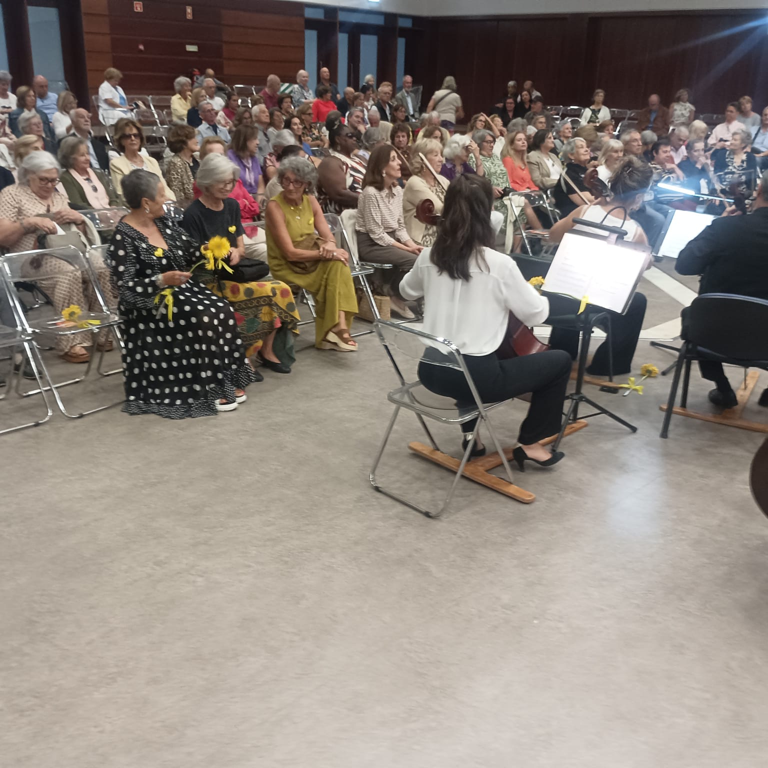 Orquestra de Câmara Cascais e Oeiras CONCERTO DE BENEFICIÊNCIA