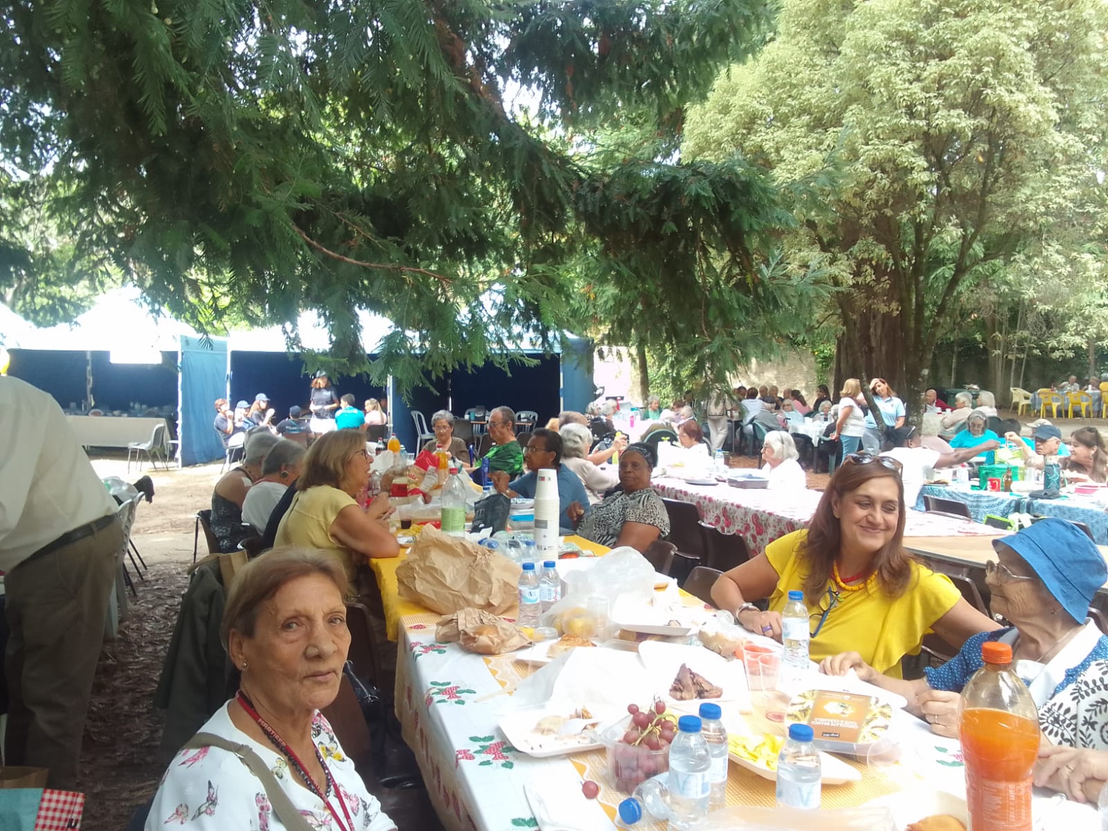 QUINTA DA RIBAFRIA PIC NIC