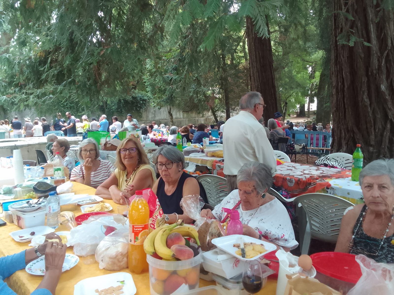 QUINTA DA RIBAFRIA PIC NIC