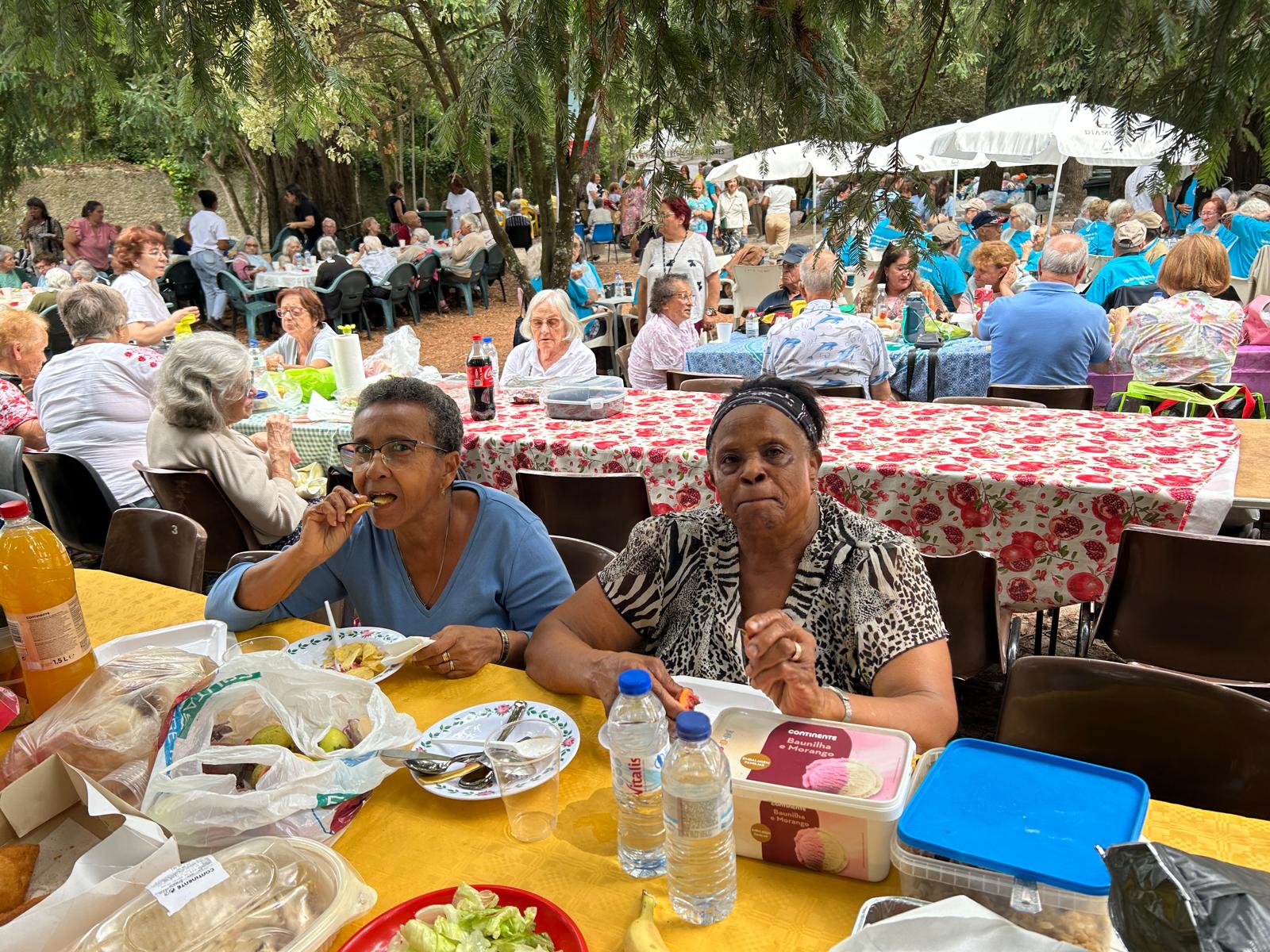 QUINTA DA RIBAFRIA PIC NIC