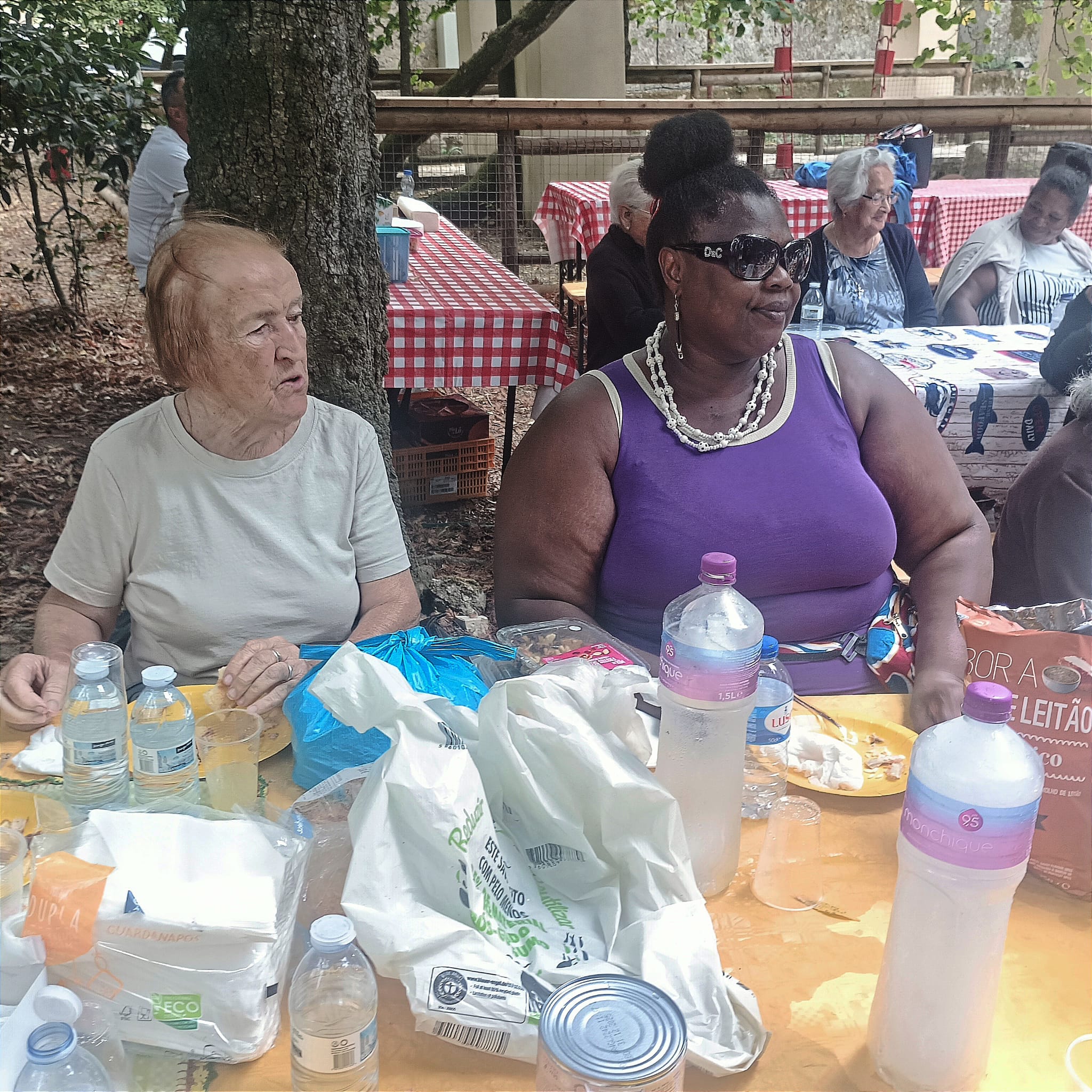 Formação “Formação com a Farmácia Holon da Figueirinha” ÇO, 2025