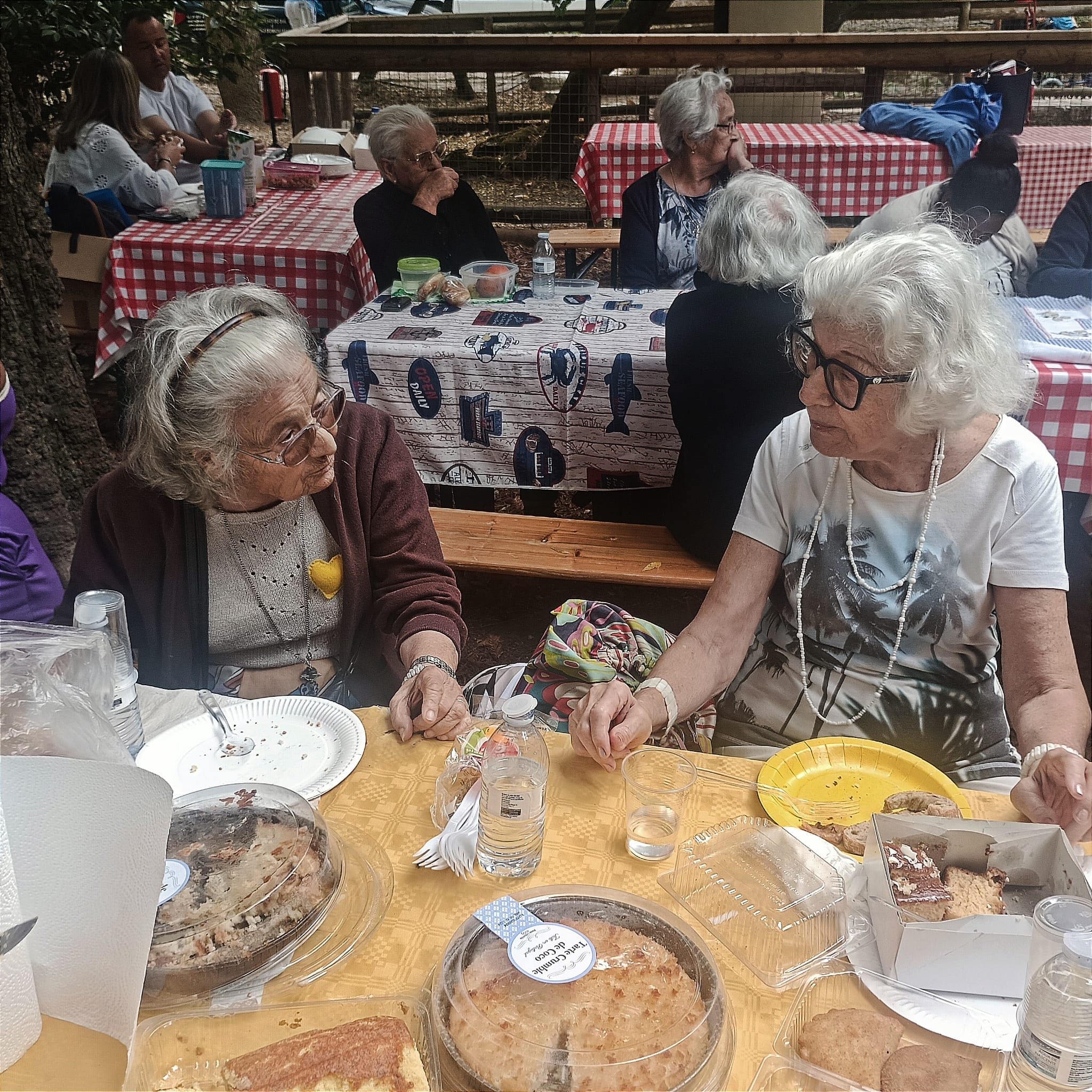 Formação “Formação com a Farmácia Holon da Figueirinha” ÇO, 2025