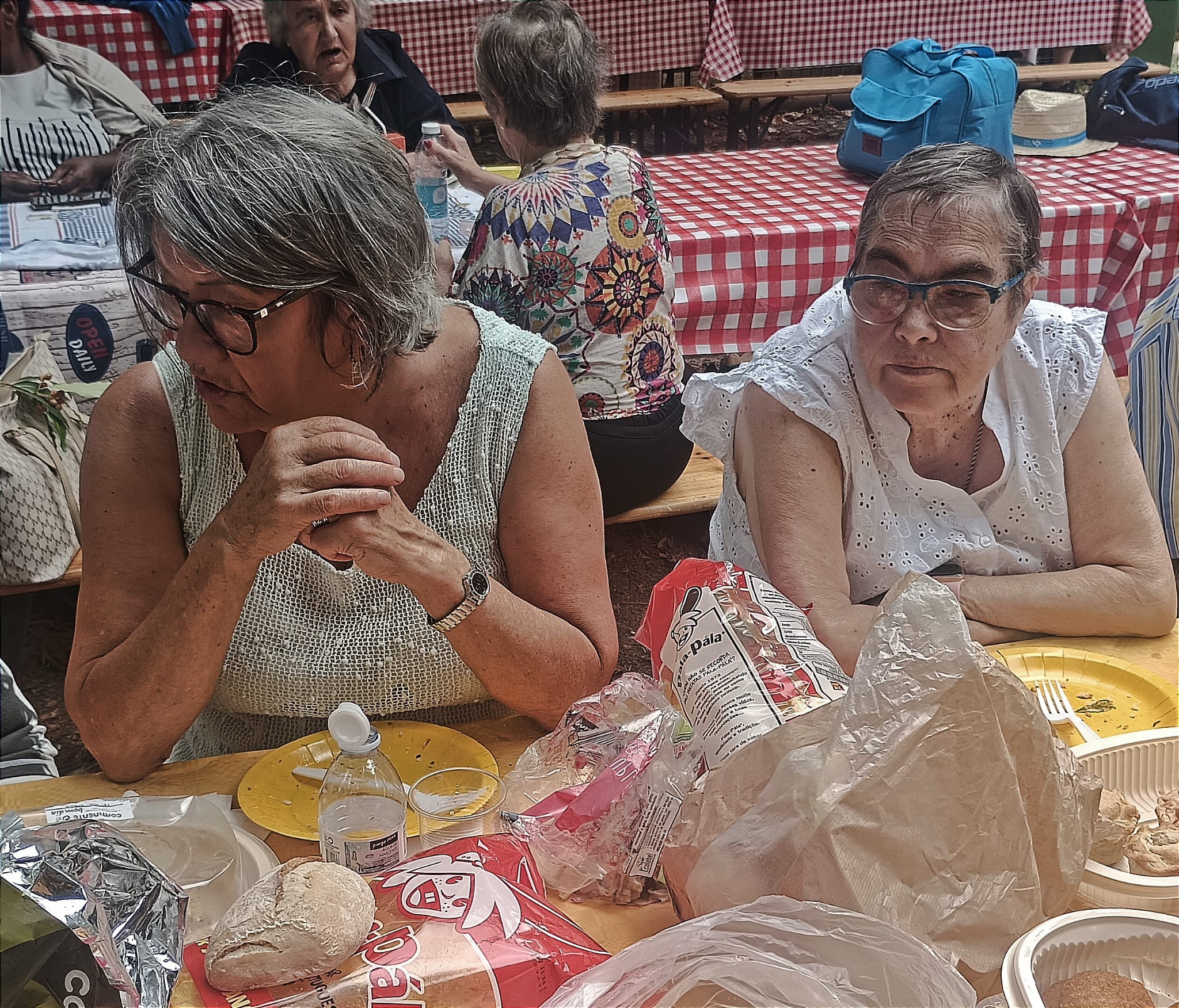 Formação “Formação com a Farmácia Holon da Figueirinha” ÇO, 2025